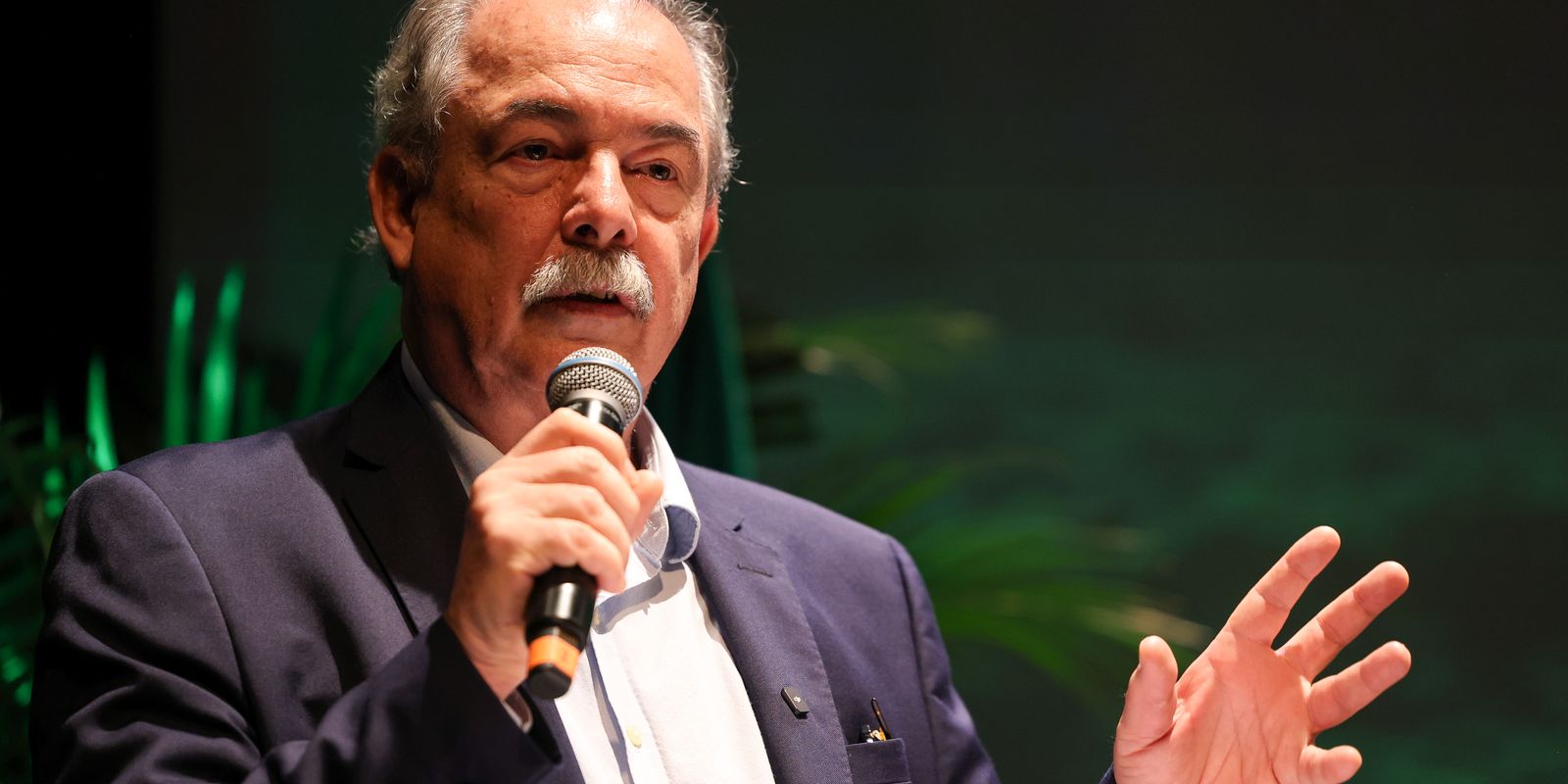 Mercadante destaca papel do BNDES para pesquisa e inovação