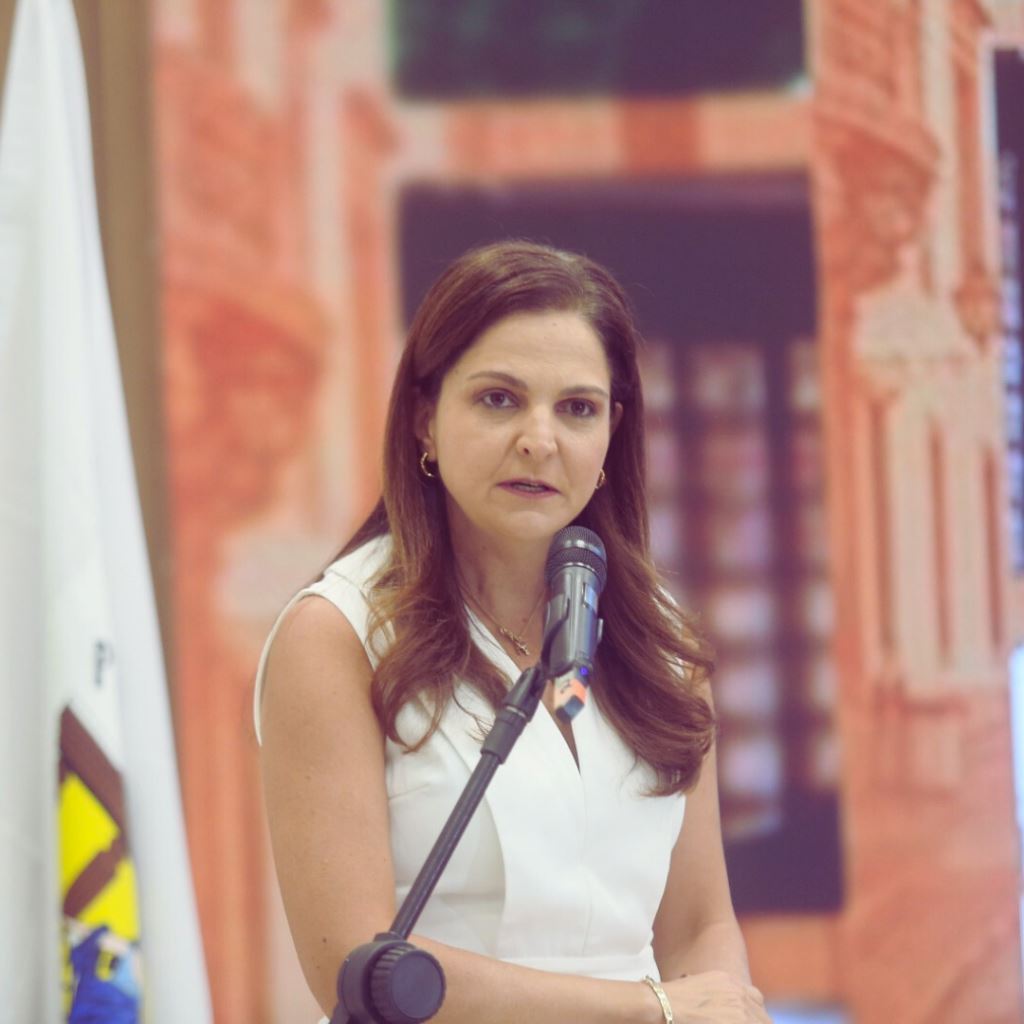 Gisela Cardoso subscreve ofício ao STF com o CFOAB requerendo a conclusão de inquéritos perpétuos | Notícia