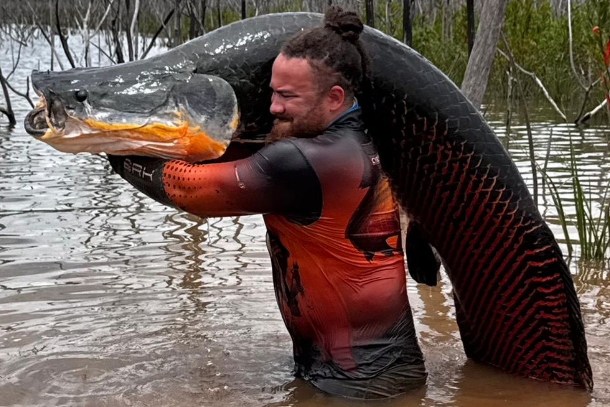 ‘Parecia um portal abrindo na água’, diz pescador que fisgou pirarucu gigante em Itaúba