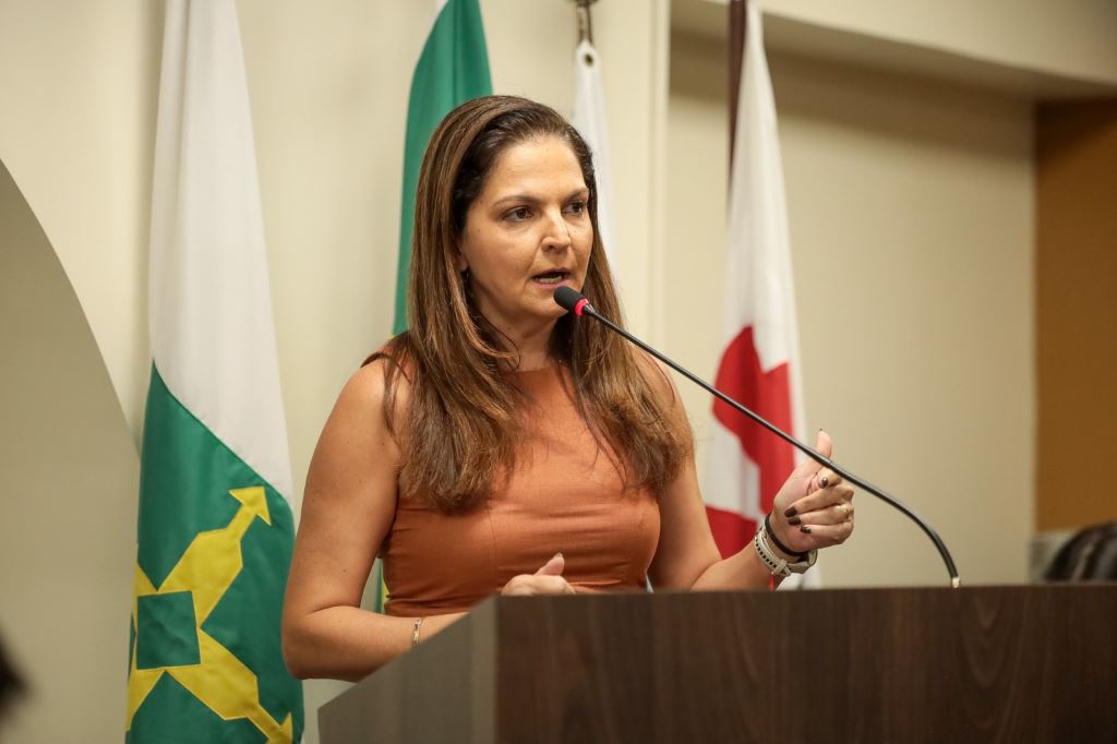 Presidente da OAB-MT defende, em Brasília, a mulher em espaços de poder e paridade de gênero no quinto constitucional | Notícia