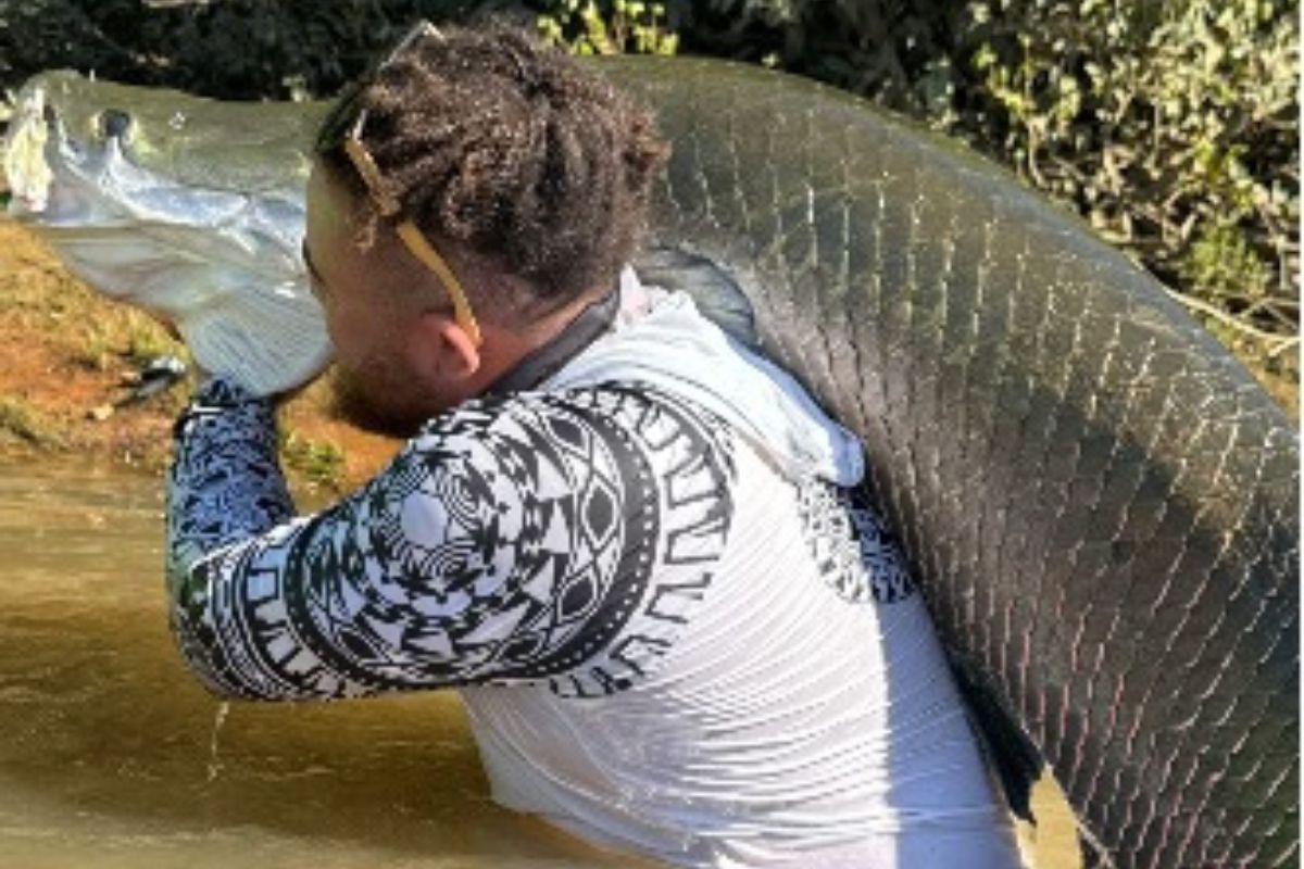 ‘Gigante amazônico’ vira atração para turismo de pesca no Teles Pires